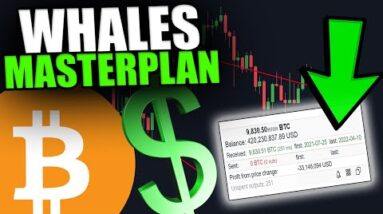 THIS WHALE IS ACCUMULATING BITCOIN LIKE CRAZY!