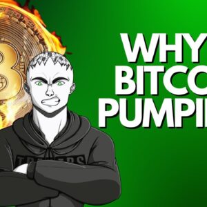 Why Is Bitcoin Pumping?