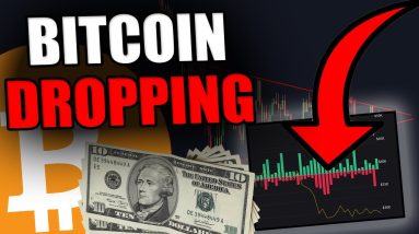 THE REASON WHY BITCOIN IS DROPPING NOW [These Guys Just Got Rekt..]