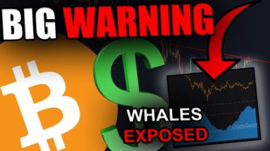 WARNING! THESE WHALES ARE PREPARING FOR THIS BIG MOVE...