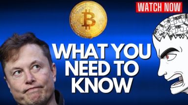BITCOIN LIVE: "Can We Blame Elon If Bitcoin Drops"