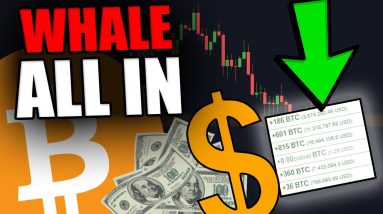 THIS BITCOIN WHALE IS GOING ALL IN