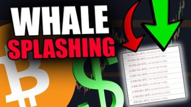 WOW! THIS BITCOIN WHALE JUST OFFLOADED $1,500,000,000