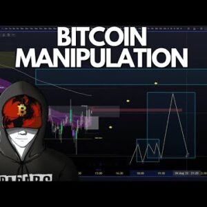 BITCOIN UPDATE: Manipulation Yet Again...