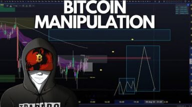 BITCOIN UPDATE: Manipulation Yet Again...