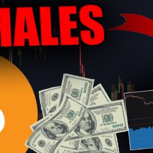 ATTENTION HOLDERS: WHALES ARE  PLANNING THIS BITCOIN MOVE