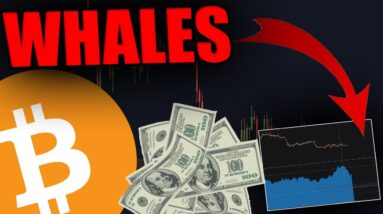 ATTENTION HOLDERS: WHALES ARE  PLANNING THIS BITCOIN MOVE