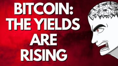 BITCOIN: The Yields Keep Rising...