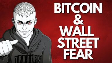 BITCOIN & Wall Street's Fear