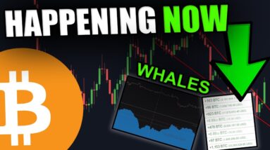 THESE BITCOIN WHALES ARE GOING ALL IN!