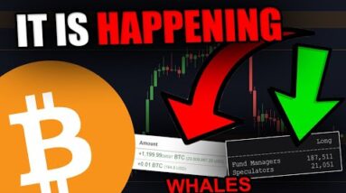 WARNING! THESE WHALES JUST EXPOSED THEMSELVES **Big Move In 4 Days**