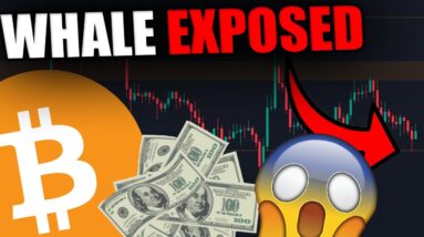 BITCOIN HOLDERS! DID THE $935,000,000 WHALE DUMP THE MARKET? I HAVE MORE INFORMATION...