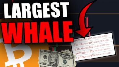 THE LARGEST BITCOIN WHALE JUST SENT $200,000,000 BITCOIN