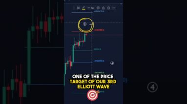 Bitcoin Elliott Wave Technical Analysis #bitcoin #cryptocurrency #btc