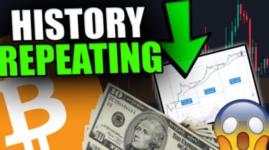 THIS BITCOIN INDICATOR HAS NEVER FAILED [Don't Miss Out.....]