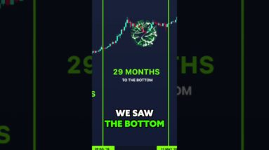 BITCOIN HALVING & BOTTOM