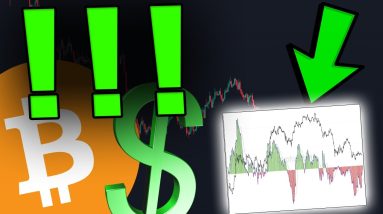 EVERY BITCOIN TRADERS NEEDS TO SEE THIS CHART
