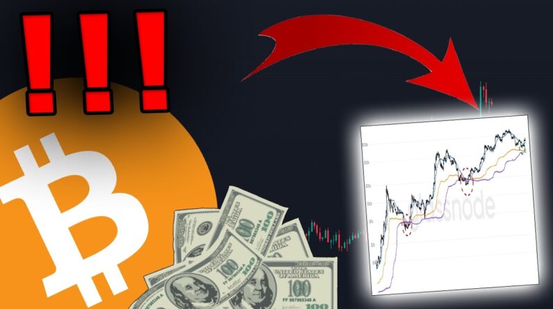 BITCOIN HOLDERS... THINGS ARE NOT AS THEY SEEM