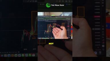 ALTCOINS: LOOK AT THE HISTORY !!!!