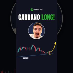 MY CARDANO LONG !!!!