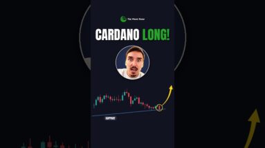 MY CARDANO LONG !!!!